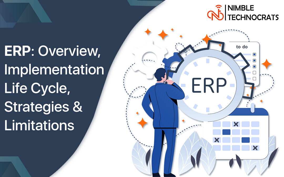 Erp Overview Implementation Life Cycle Strategies Hot Sex Picture 